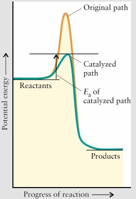 catalizzatore Reazione