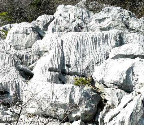 permeabili (Strati di arenaria nei pressi di Muggia) CALCARE roccia sedimentaria di origine