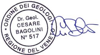 Rapporto in Linguaggio Non Tecnico - Allegato I Pagina 2 di 2 DICHIARAZIONE SOSTITUTIVA D I ATTO N OTORIO Il sottoscritto Cesare Bagolini, nato a Verona, il 5 settembre 1959, residente in via