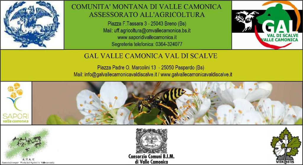 BOLLETTINO AGROMETEORO ROLOGICO N 26 del 09/10 /10/2014 /2014 www.saporidivallecamonica.it uff.agricoltura@cmvallecamonica.bs.it SEGRETERIA TELEFONICA 0364/324077 : 1 MELO 2 VITE 4 PICCOLI FRUTTI www.