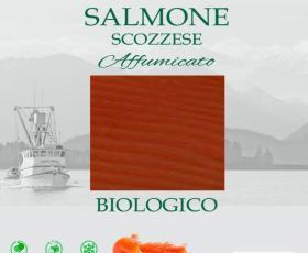 241/47/195 FOOD LAB SALMONE SCOZZESE BIO 100 GR cod.