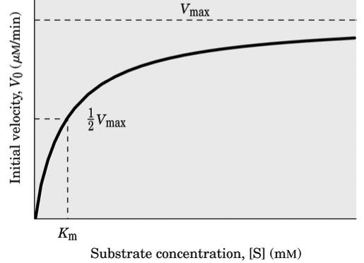 La cinetica enzimatica: Calcolo della K m e V max Parametri cinetici K m (numericamente uguale alla concentrazione di substrato alla quale la