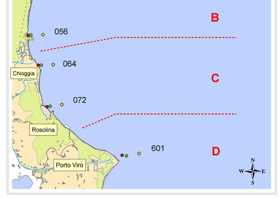 RETE DI MONITORAGGIO Transetti Localizzazione Stazioni 008 024 040 053 056 064 072 601 Centro spiaggia Brussa Caorle (Ve) Distanza dalla costa (m) 10080 500 20080 926 30080 3704 10240 500 20240 926