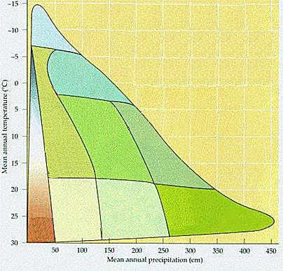 TEMA c: ambiente e evoluzione Domanda 10 (12 punti): Quello che vede qui accanto è un grafico ombrotermico, con le indicazioni della piovosità (in cm/m 2 all anno ; asse delle X) e della temperatura