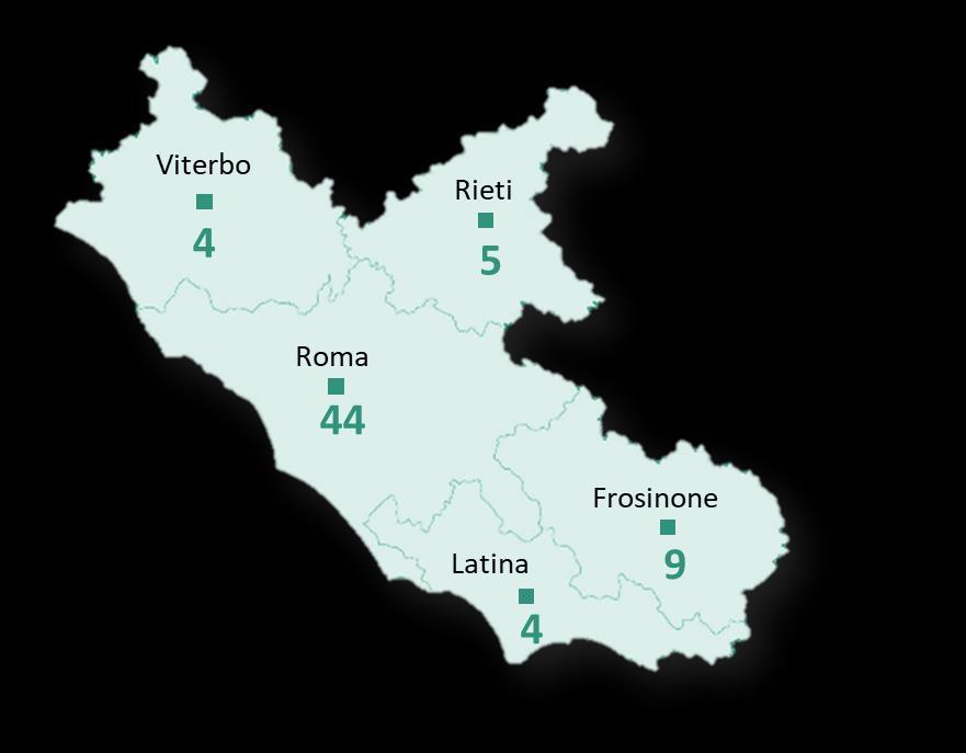 4,0 3,5 6,1 4,2 3,3 5,3 8,2 8,8 11,1 9,3 20,1 24,8 Quotidiani locali diffusi in ciascuna provincia Quotidiani più diffusi nella regione (%) Lazio Italia Il Messaggero La Repubblica Corriere