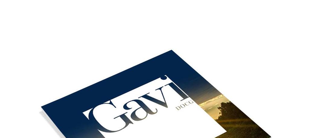 STORIE DEL GAVI LA BROCHURE Nel 2017 è stata realizzata la nuova brochure del Consorzio: uno strumento di comunicazione della Denominazione, realizzato in doppia lingua