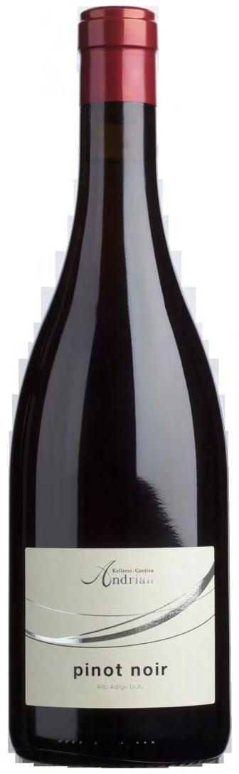 pinot noir pinot noir dell alto adige 2017 DOC Pinot Nero Zona di prod. Alto Adige 500 m 90 Q.
