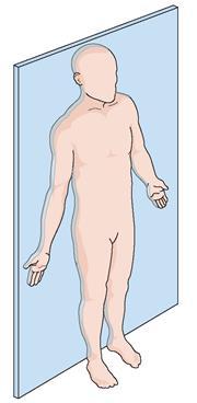I piani del corpo I piani anatomici sono delle linee immaginarie disegnate attraverso il corpo. Queste linee permettono di descrivere oggettivamente i movimenti e le posizioni del corpo.