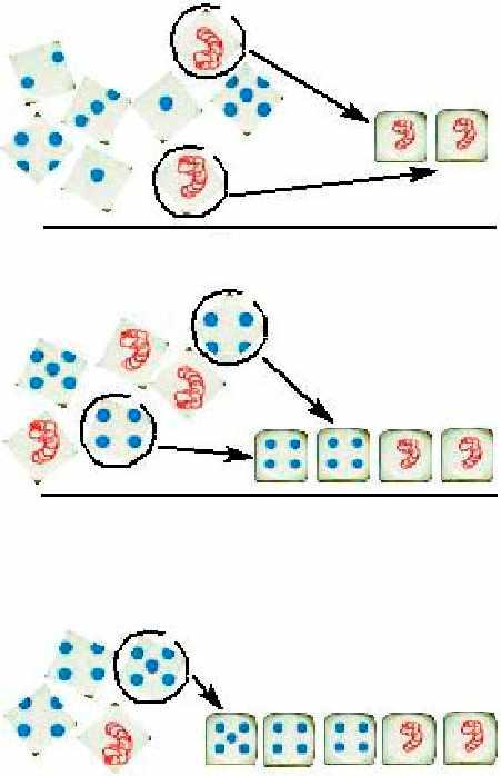 Fig. 3: 1 tiro Ogni verme raccolto vale 5 punti. Fila dopo il primo tiro. Dal suo primo tiro di dadi, Jonathan sceglie i vermi e li mette di fronte a lui.