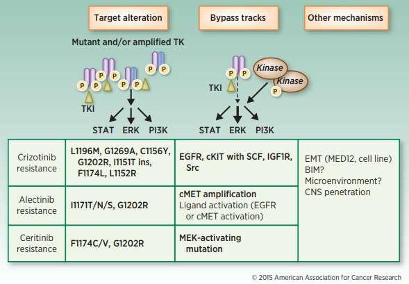 Clin Cancer Res 2015 I Tki di seconda generazione