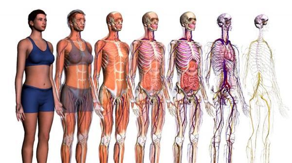 Spesso, con "corpo" ci si riferisce sia al corpo umano quando è ancora in vita sia, per estensione del termine, quando è morto, ovvero quando si parla di cadavere.
