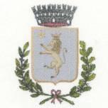 Comune di San Cipriano d Aversa (Prov. di Caserta) REGOLAMENTO DELLA CONSULTA CITTADINA DEGLI ANZIANI Art. 1-
