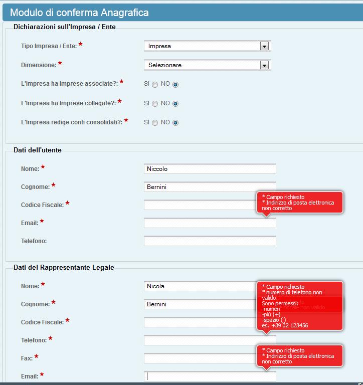 Creazione Progetto Ricevuta l'email di attivazione potrete accedere nuovamente al sistema.