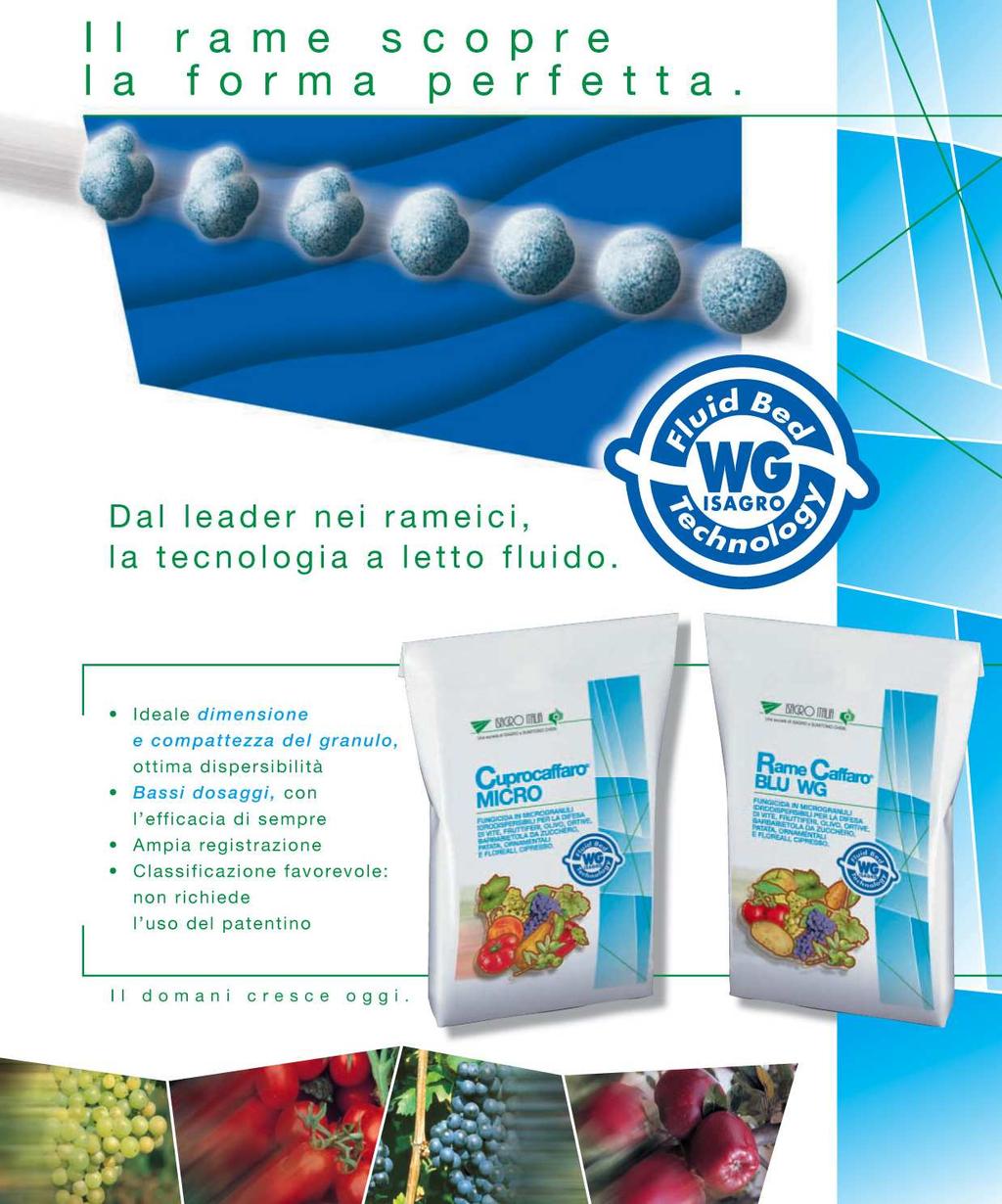 I NUOVI DOSAGGI : : : : : Dosi d impiego 37,5% WG Vite 200-300 g\hl Olivo 250-350 g\hl