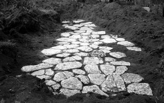 FONTE NUOVA, LOC. LA TORRICELLA. DIVERTICOLO FONTE NUOVA, LOC. LA TORRICELLA. GRANDE DOLIO FONTE NUOVA, LOC. LA TORRICELLA. RESTI DI TORCULARIO FONTE NUOVA, LOC.