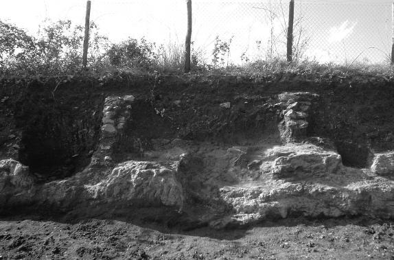 TOMBA 5 Si trovava circa 50cm di distanza dalla tomba 4 ed era costituita da una serie di pietre (13) di medie e piccole dimensioni poste in piano e una tegola posta di taglio, con alettone posto