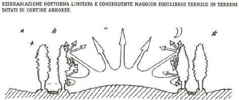 Purtroppo in quest area la trasformazione del paesaggio agrario e l impiego di macchine agricole ha progressivamente portato alla perdita di questi importanti elementi del territorio, con conseguente