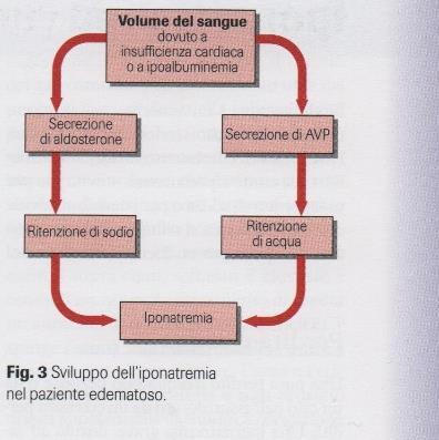 Causata da una ridotta circolazione del sangue