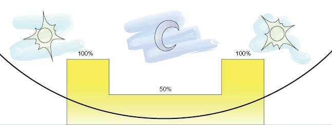 F U N Z I O N A M E N T O C O R P I I L L U M I N A N T I PUBBLICA ILLUMINAZIONE RIDOTTA SUPERFICIE DI EMISSIONE Ottimale Controllo del Flusso Luminoso Luce Omogenea, Pulita e Temperatura Di Colore