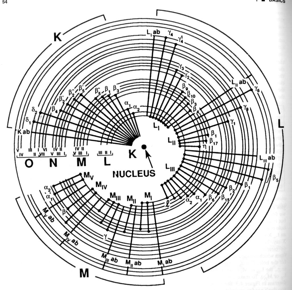 Analisi chimica (Microanalisi) Microanalysis on a