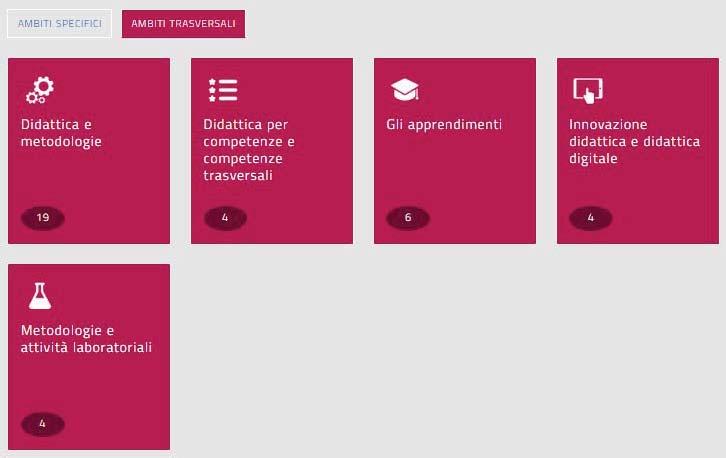 Figura 19 - Catalg - Ambiti frmativi trasversali Il numer riprtat