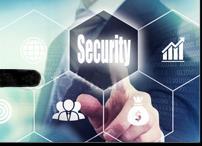 Gestione/protezione sicurezza dei sistemi 23% 20% 30% 29% 44% 45% Responsabile Sicurezza Informazioni (CISO) Gestione sicurezza delle informazioni e dei dati Attuazione programmi di informazione e