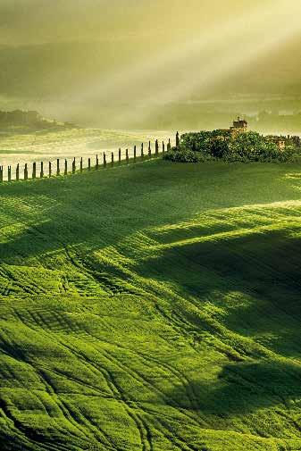 Cara Amica, sono felice di presentarti la prima newsletter di Bottega Verde: Natura Italiana.