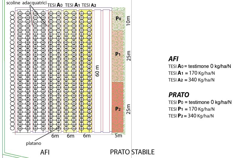 indagate AFI PRATO