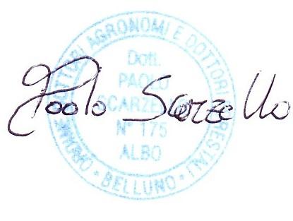 REGIONE VENETO PROVINCIA DI BELLUNO COMUNE DI CORTINA D AMPEZZO DOTT. FOR.PAOLO SCARZELLO VIA ROMA, 157 LOZZO DI CADORE 32040 (BL) C.F.: SCRPLA80L29A501W P.