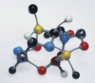 Le rubriche del Notiziario dell Istituto S uperiore di S anità quali il nucleotide excison repair e il mismatch repair intervengono quando la lesione è presente in geni attivi trascrizionalmente o