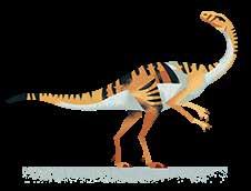 lcuni scienziati lo ritengono molto vicino all errerasaurus (pagina 78) dell rgentina, altri lo mettono invece in relazione con il oelophysis (pagina 46) dell merica.