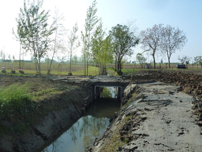 Consorzio sempre in prima linea Lavori recentemente completati: - SCOLO PALUELLA, sostituzione di un ponte idraulicamente insufficiente