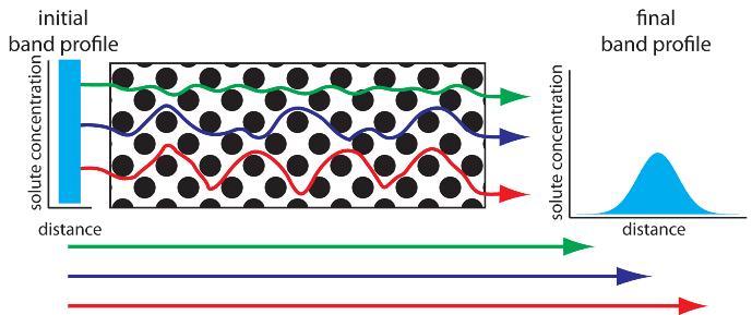 Effetto della diffusione turbolenta sull'ampiezza di picco La differenza di cammino di molecole dello stesso analita nel passaggio attraverso la f.s. in cromatografia liquida (LC) provoca un arrivo di molecole al detector in tempi diversi e quindi la registrazione di un picco allargato.