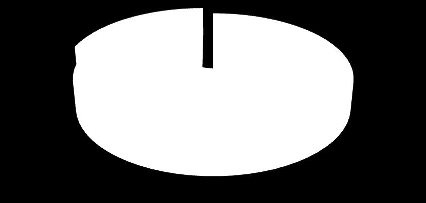 79% ITALIA ESTERO 78% 76% 77% 76% 74% 80% 77% 77% 80% 82% 81% 78% 22% 24% 23% 24% 26% 20% 23% 23% 20% 18% 19% 22% TOP DESTINAZIONI ITALIA Toscana Lazio Lombardia