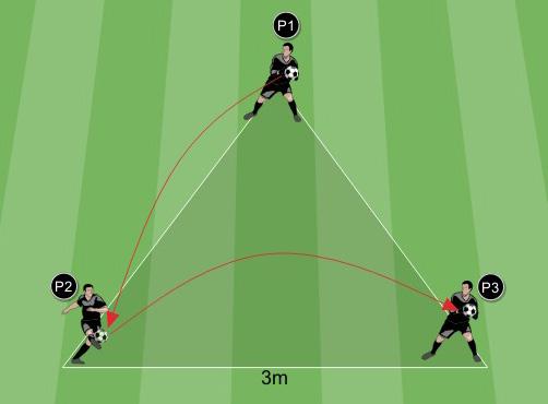 Alternare l arto utilizzato per calciare la palla. Seconda proposta 2 - Analitico 3 portieri (P1, P2, P3) si posizionano formando un triangolo ad una distanza di 3 metri l uno dall altro.