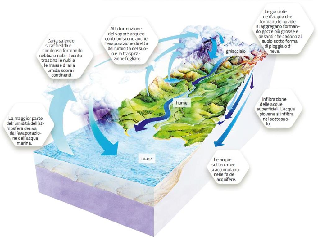 Il ciclo dell acqua Il ciclo dell acqua coinvolge l atmosfera, l idrosfera e