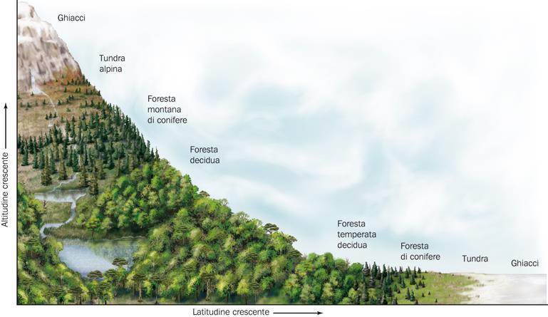 Anche le caratteristiche fisiche di un territorio, in particolare la presenza di