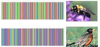 DNA Barcoding Il DNA barcode è una corta sequenza di DNA, di una specifica regione genomica, utilizzato per identificare le specie.