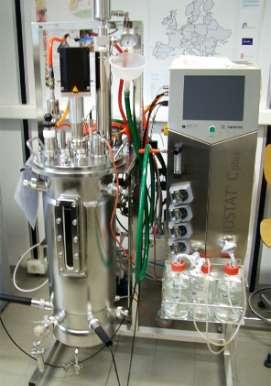 Laboratorio per la gestione e l analisi della biodiversità microbica Preparazione di starters di fermentazione da utilizzare per innestare fermentazioni su larga scala e produzione di metaboliti