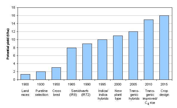 Prospettive di incremento produttivo per il