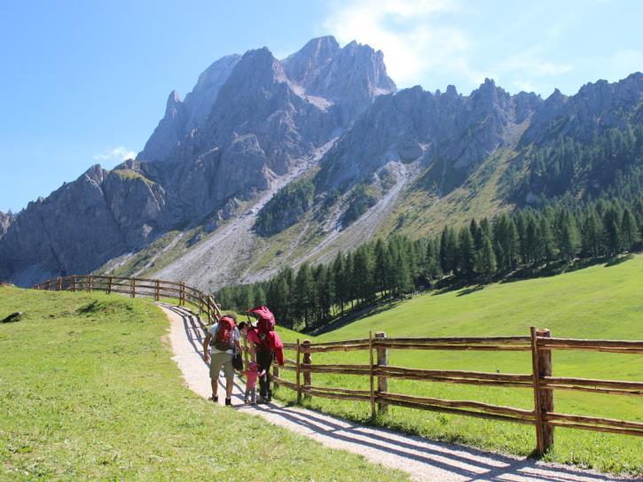 120 al Col de Varda m. 2016 e al Rif. Città di Carpi m. 2110 - Ore 2 Si prosegue per sentiero 116 fino ad incrociare il Sentiero attrezzato Durissini Est che si percorre fino a giungere al Rif.