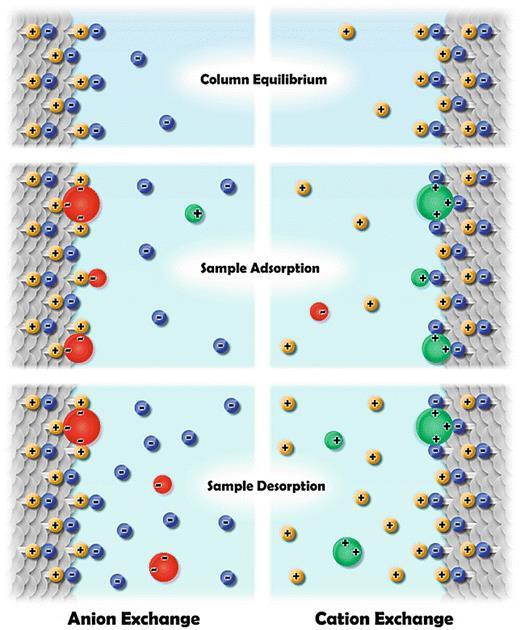 Protein pi=5.5 Equilibration buffer: ph 7.