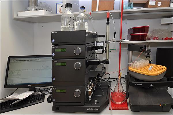 Cromatografia liquida veloce di proteine (FPLC) -Purificazione di proteine - stessi principi