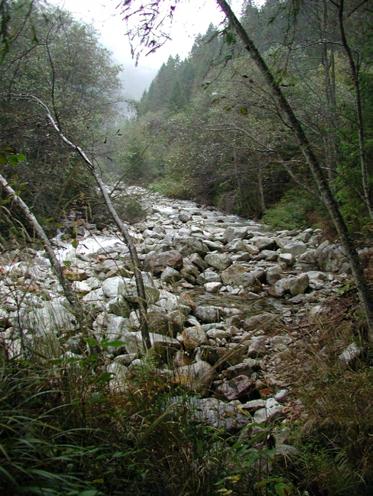 condiziona fortemente i tempi di ricarica e la capacità di recupero qualitativo