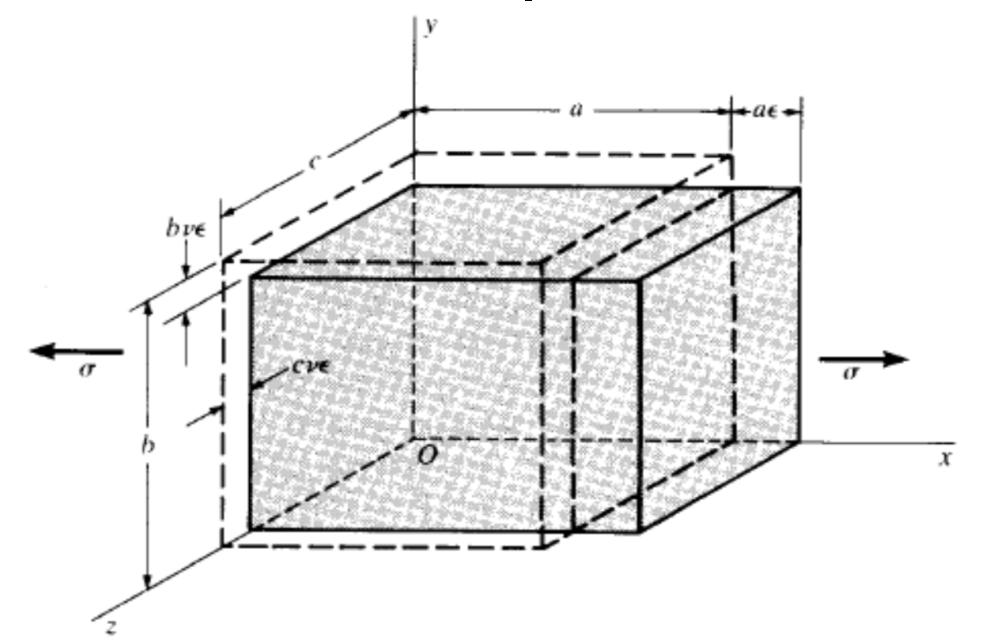 Variazione di volume Sempre nel caso di solidi prismatici, l applicazione di carichi di trazione tende a modificarne il volume per effetto delle deformazioni assiali e trasversali.