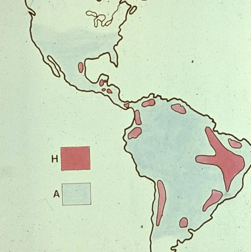 Endemico in America Latina, (presente nel Texas e in