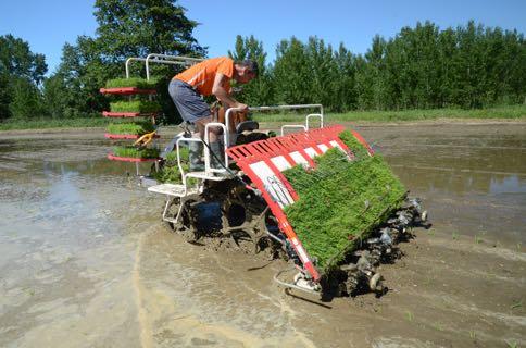 diverse condizioni operative reali Campo