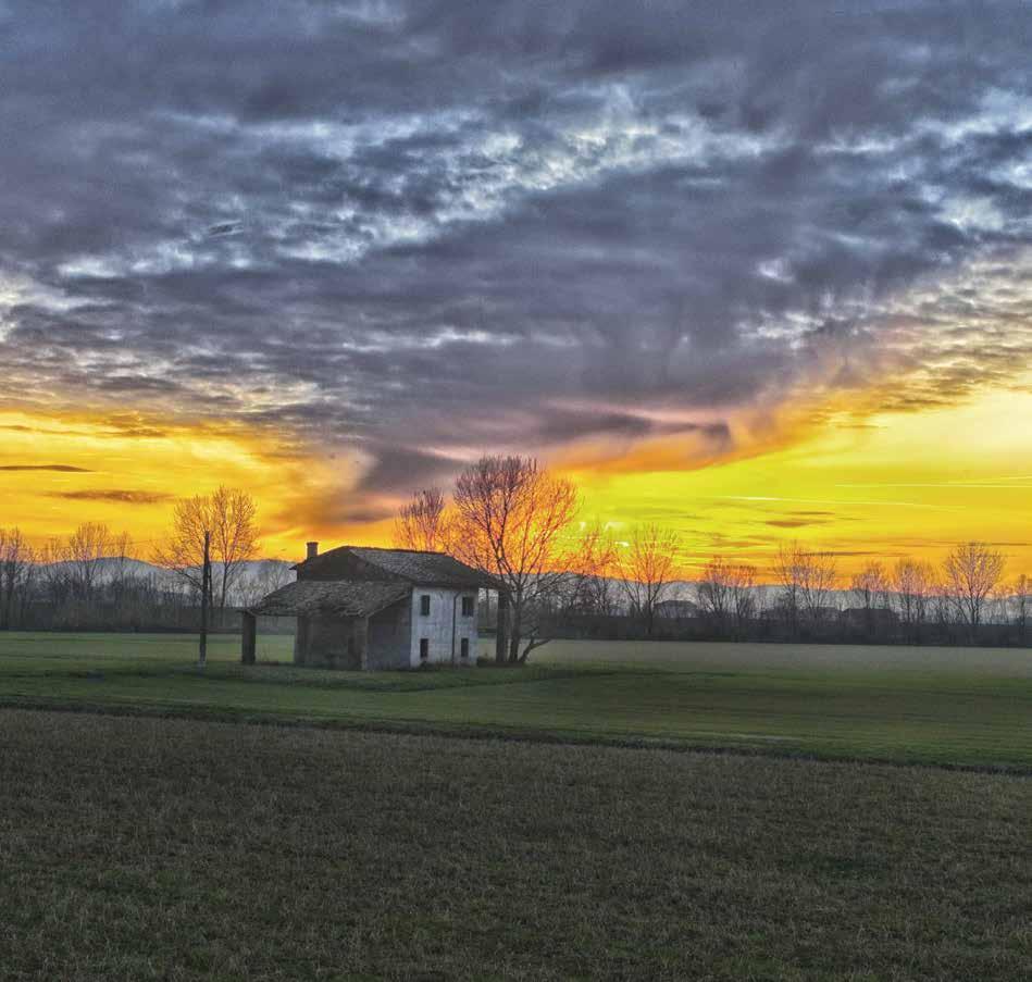 Palasone - foto Giuseppe Rivara DICEMBRE Da sabato 30 novembre a sabato 7 dicembre PELIZZONI YOUG II Concorso di cori di voci bianche PREMIO PELIZZONI XIV Concorso internazionale di canto lirico Amm.