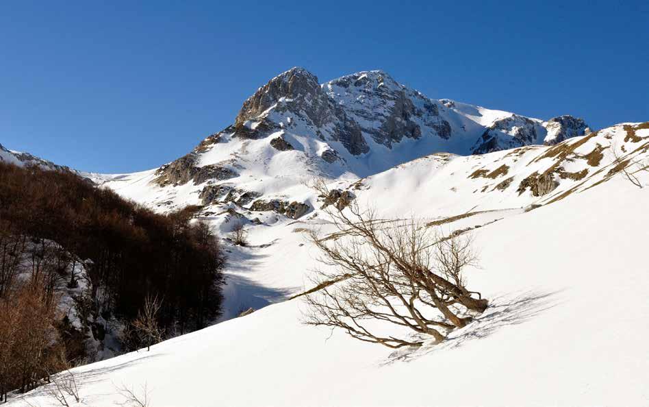 2019 GENNAIO / JANUARY Monte Meta da Valle Pagana foto di Alfonso Ianiro M M G V S D L M M G V S D L M M G V S D L M M G V S D L M M G 1 2