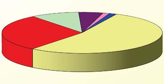 Collaboratori delle imprese associate Collaboratori: media: 1,7 La famiglia è il perno attorno cui ruota la microimpresa Solo l